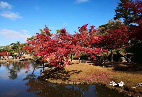 華咨水資源論證科技：創新論證方式，提升水資源利用效率